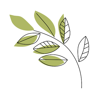 Branch with leaves Isolated on a white background. Flat style with line. Minimal flora design. Vector illustration.