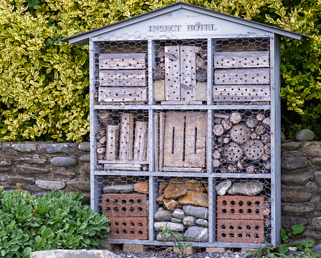 bee bee and insect house mounted on recycled pallets, painted in bright colors, in an outdoor park in Ireland.concept of recycling, ecology, respect for the environment.