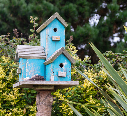 An image of an old handmade wooden birdhouse perched high on a pole and away from cats.