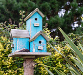 Birdhouse on wooden log,