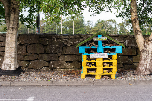bee bee and insect house mounted on recycled pallets, painted in bright colors, in an outdoor park in Ireland.concept of recycling, ecology, respect for the environment.