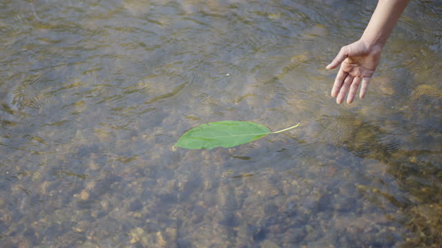 Woman releasing leaf on the flowing water surface