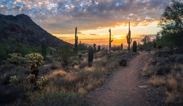 istock Trail leads through desert mountain during beautiful sunset 1459423778