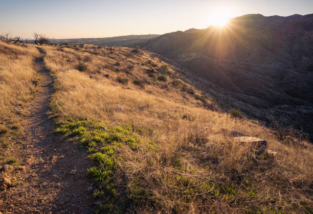 istock High desert trail lead though field on mountain during sunset 1459424269