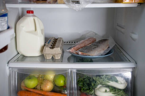 istock frozen salmon in the fridge 1459427471