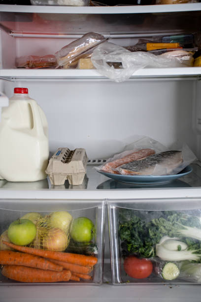 istock frozen salmon in the fridge 1459427498