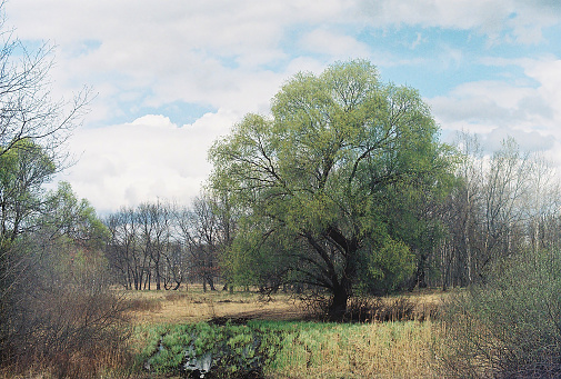 Duffins Creek Wetlands.  The Lower Duffins Creek Wetlands is a 20 hectares wetlands that was designated provincially significant by the Ontario Ministry of Natural Resources in 2005.
