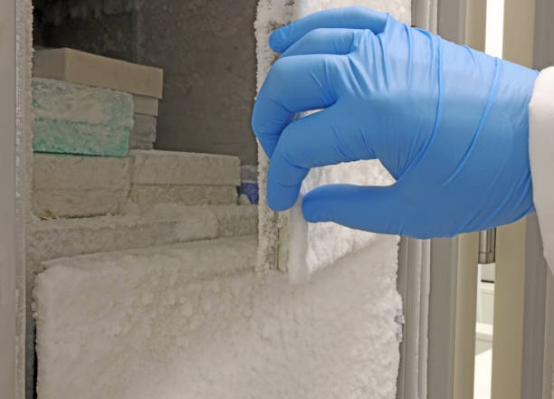 istock Scientist's hand with blue gloves taking frozen clinical samples 1459434460