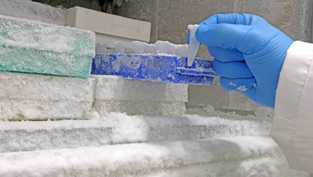 istock Scientist's hand with blue gloves taking frozen clinical samples 1459434461