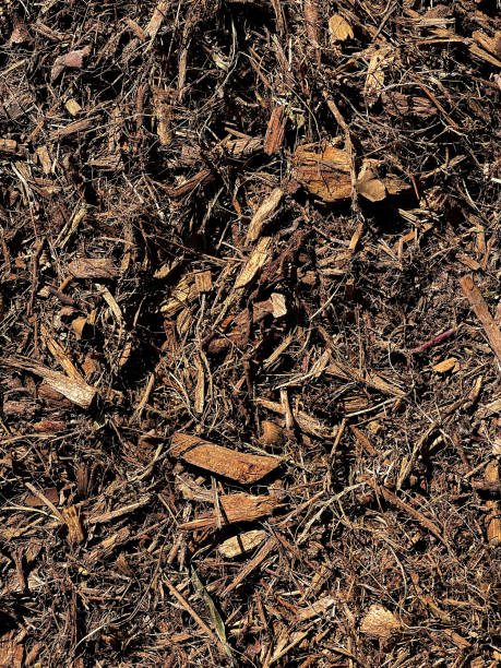 istock Brown Bark Mulch - Color Portrait Format 1459435210