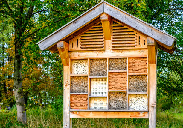 wooden insect house or hotel - photo