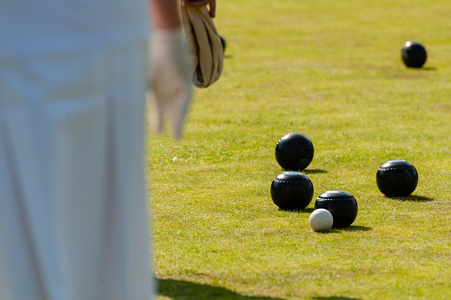 Left handed bowler, in the process of delivering his wood in a game of lawn bowls.These two players are skips in a team game.