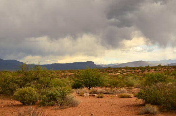 istock Storm Clouds Sonora Desert Arizona 1459442626