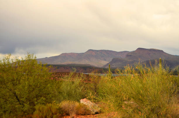 istock Roosevelt Lake Arizona 1459442648