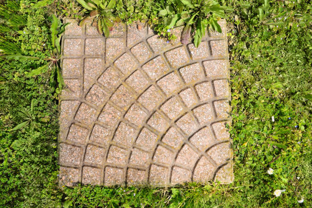 istock Fresh green grass and stone tiles outdoors, top view 1459443478