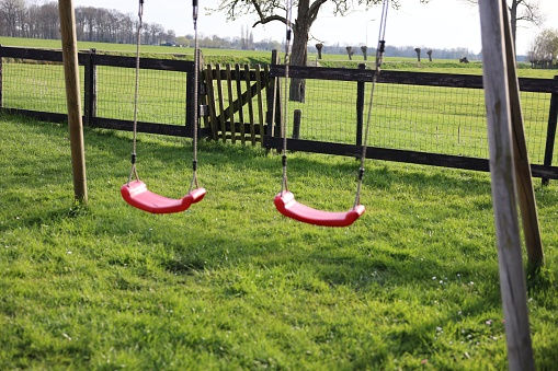 Outdoor swings on green grass near wooden fence outdoors