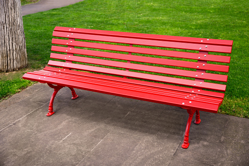 Beautiful red wooden bench near green grass in park