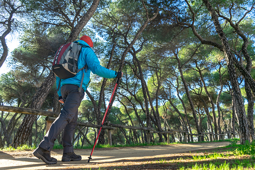 PILGRIM MAN WITH BACKPACK AND STICK WALKING THE CAMINO DE SANTIAGO THROUGH A FOREST IN SPAIN. ADVENTURE IN NATURE. TREKKING AND HIKING CONCEPT. COPY SPACE.
