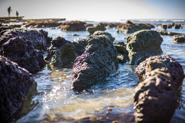 Tide Pools at Low Tide at Beach in Solana Beach, San Diego, California.