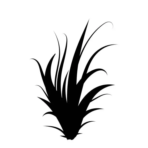 Vector illustration of Black grass. Grass bushes. Hand drawn grass. Grass silhouette. Vector illustration