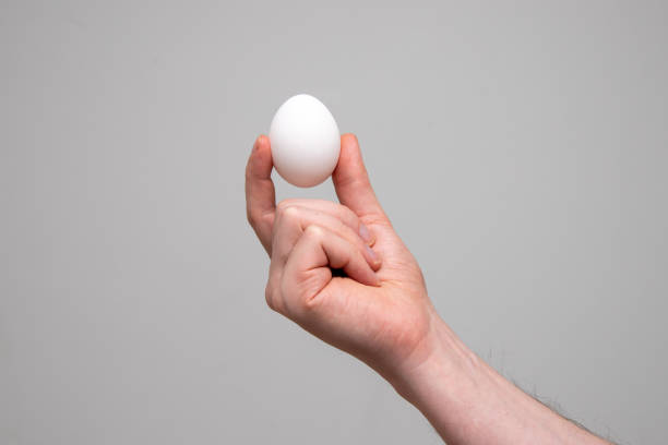 A close up of a person's hand holding white egg