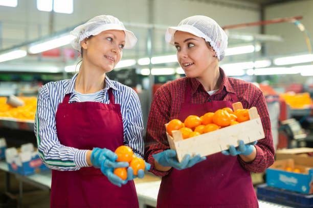 istock Smiling fruit sorting factory female workers holding selected tangerines 1459451330