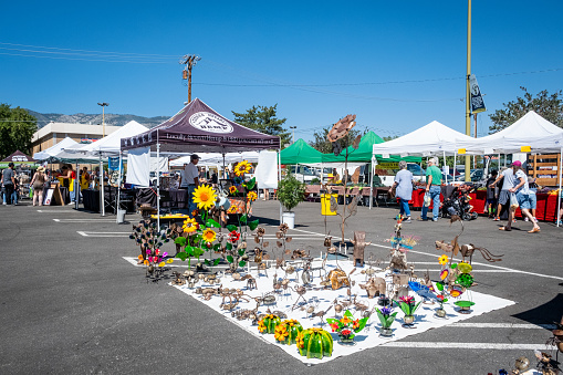 Carson City, NV - August 20, 2022: Views of the Carson City Farmer's market. Carson City, the capital of Nevada, has a flourishing market every Saturday morning during the summer months.