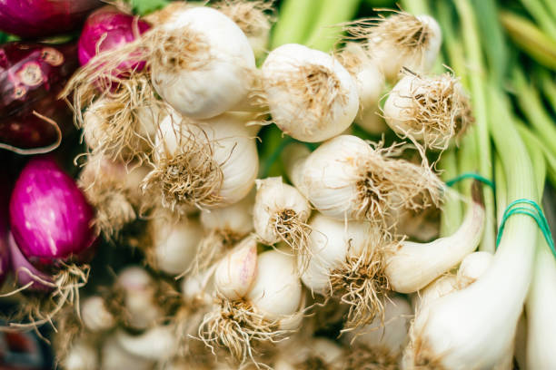 istock Close-up on ripe scallion in a bunch 1459454854