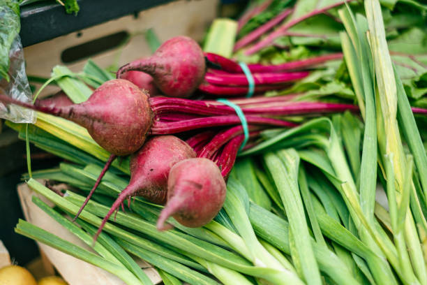 Bunch of red beet on leek, homegrown organic food