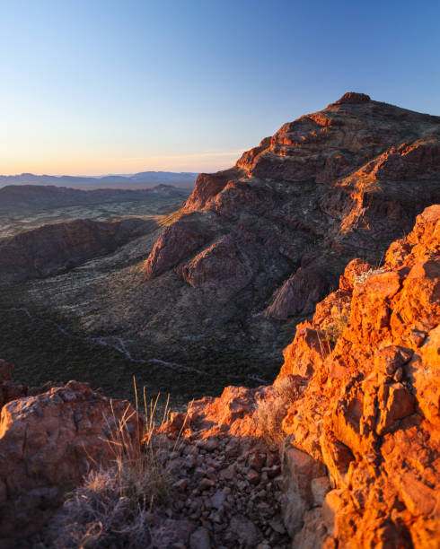 istock Sunset over Organ Pipe Cactus National Monument 1459455384