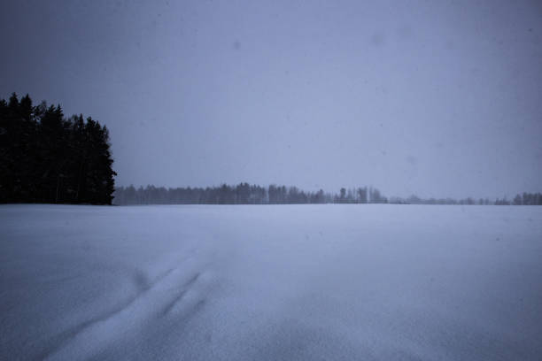 Snow next to road in Syvasenvaara in Rovaniemi, Lapland in autumn