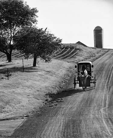 Strasburg, PA, USA – June 8, 2021. Black and white photograph of a traditional horse drawn Amish buggy on a dirt road, moving downhill past a farm with a silo in the background. Trees and crops can be seen on the side of the rural road.