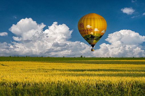 Groffdale, PA, USA – June 8, 2021.  A yellow hot air balloon flies low to the ground over golden crops in the Amish farmland of Lancaster County, Pennsylvania. The deep blue sky is filled with big puffy white clouds as the aircraft makes its flight at sunrise over the farmlands in The Amish Pennsylvania Dutch region of Lancaster County, PA.