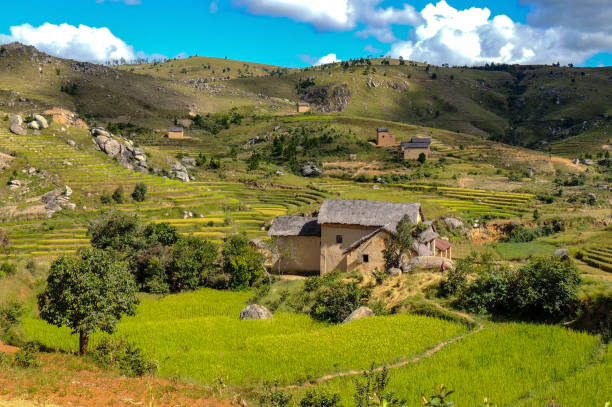 istock Rural landscape in central plateau in Madagascar 1459463861