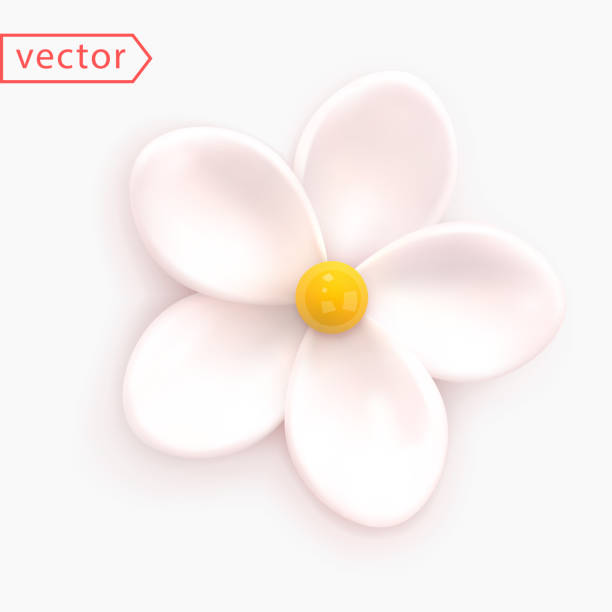 istock White Flower. Abstract minimal flower of Chamomile, Daisy, Jasmine, Cherry. Realistic 3d design element.Culinary cream cake decoration. Icon isolated on white background. 3d Render Vector illustration 1459466113