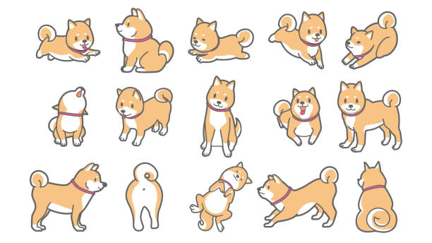 ilustrações de stock, clip art, desenhos animados e ícones de vector illustration of shiba inu - dog set humor happiness