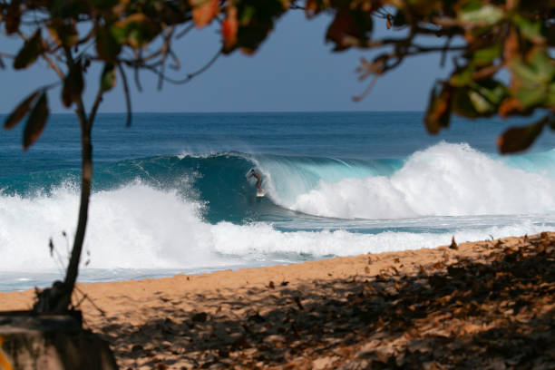 istock Backdoor barrel North Shore Oahu Hawaii 1459468229