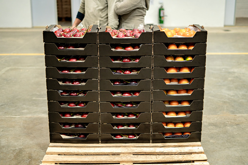 Fruits in boxes at the factory, ready for distribution.