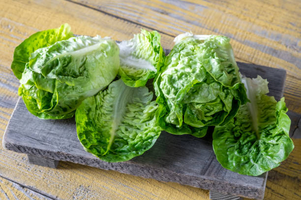 istock Heads of Romaine lettuce 1459473915