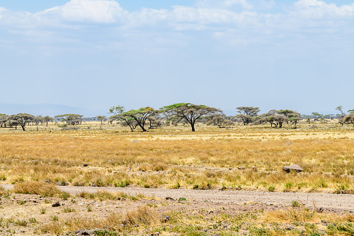 Beautiful landscape at Ngorongoro conservation area, Tanzania