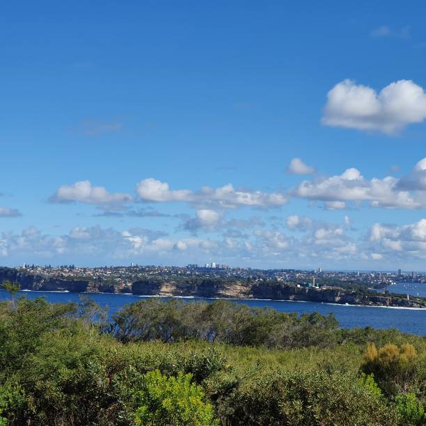 istock view of Sydney city 1459489960