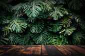 Jungle table background. Rustic wooden table against the backdrop of tropical plants, palms and jungle.