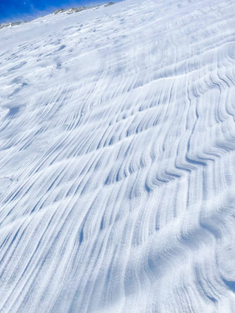 istock Details of a glacier in Switzerland 1459501906