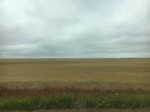 campi di grano delle praterie canadesi - saskatoon saskatchewan prairie field foto e immagini stock