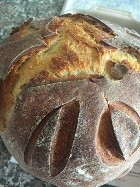 istock Homemade Sourdough Bread 1459507766