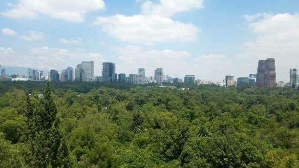 istock City of Mexico from Chapultepec 1459509149