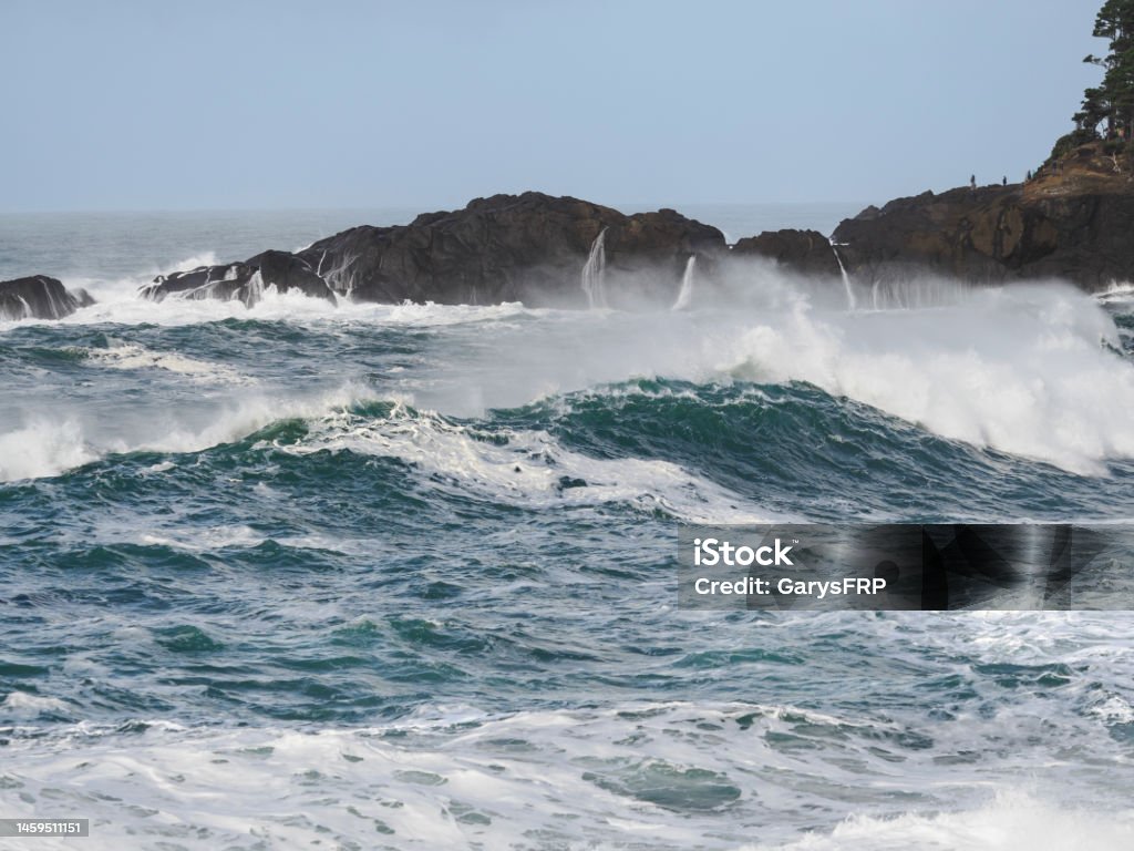 King Tides Depoe Bay Oregon 2025 Tickets Julee Malina
