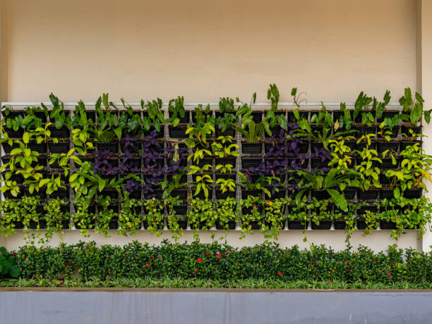 istock A Tidy Display of Vertically and Horizontally Arranged Plant Collection 1459511508