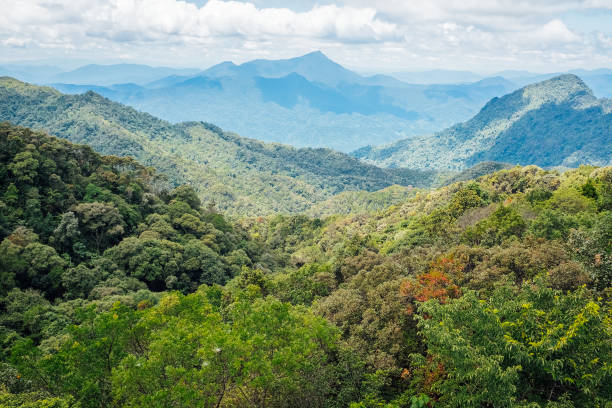 istock Bach Ma National Park 1459513061
