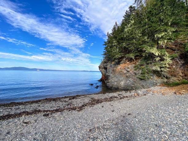 owl's head beach, maine - owls head lighthouse foto e immagini stock